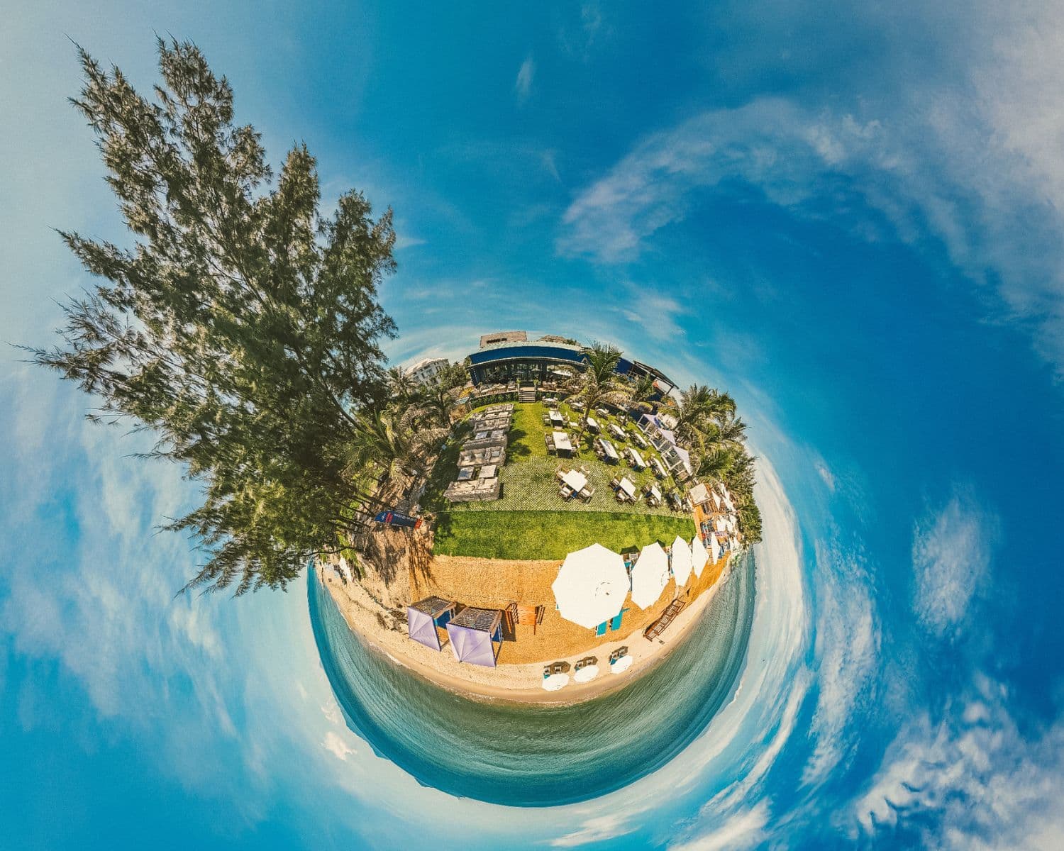 Sun-kissed lawn area